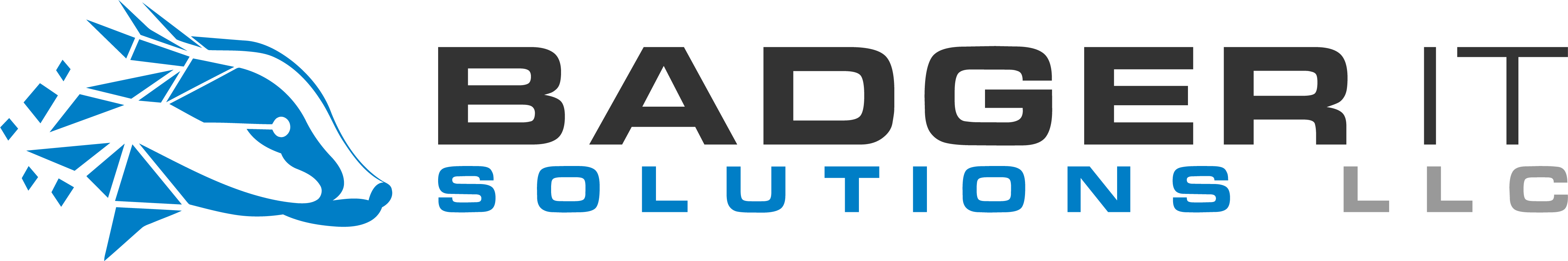Badger IT Solutions, LLC Logo